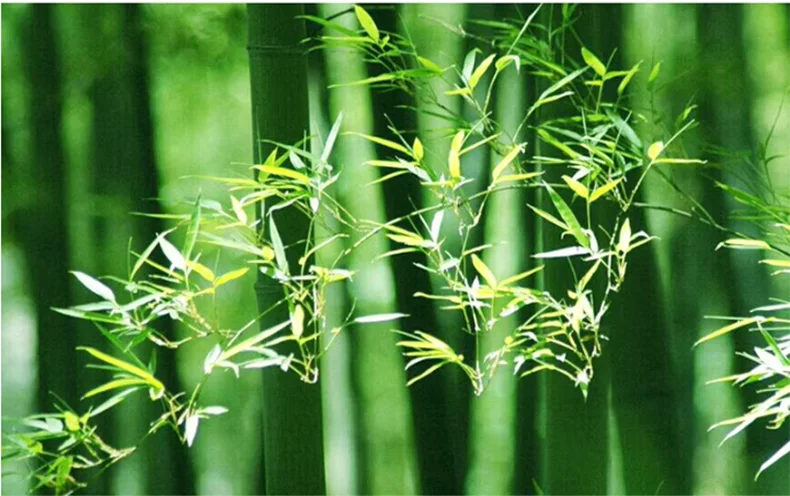 Handgeweven bamboe hanglamp – Chinese stijl pendant lamp voor slaapkamer & woonkamer